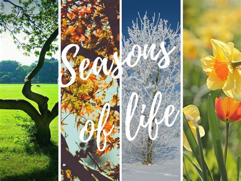 Seasons Of Life — St Marks West Wollongong