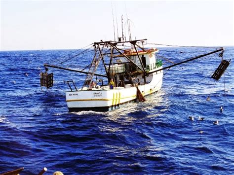 Pesquisa Sobre Pesca Industrial Consolida Sc Como Maior Produtora De