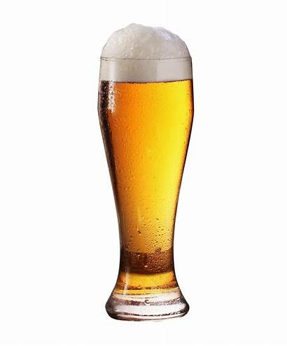 Beer Glass Transparent Mug Alcohol Drink Cervezas