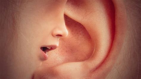 Constant Ringing In Ears Causes Symptoms And Treatment