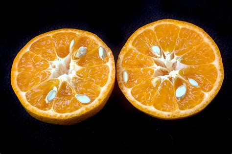 A Guide To Mandarin Oranges The New York Times