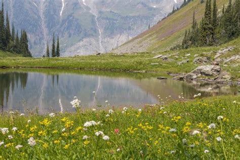 Canada British Columbia Selkirk Mountains Marmot Lake Reflection
