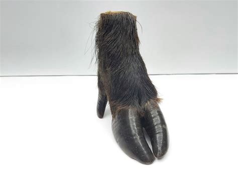 An Animals Claw Is Shown With Long Black Fur On The Tip Of Its Claws