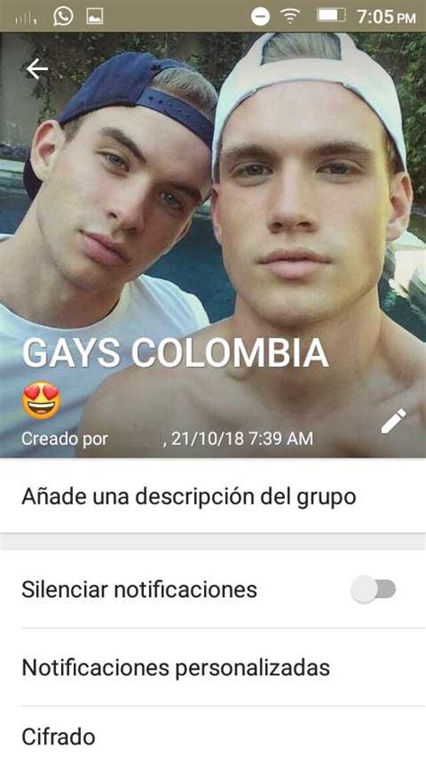 Grupos Gay De Whatsapp 6 Gay Groups In Whatsapp Guia Gay
