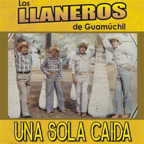 Los Llaneros De Guamuchil Despidete De Los Campos Lyrics Musixmatch