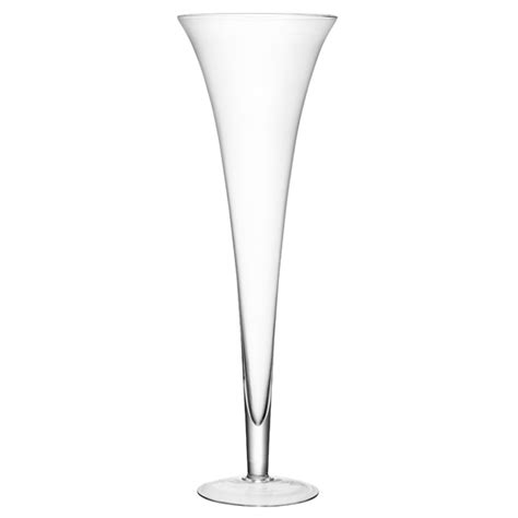 Lsa Maxa Giant Champagne Glass 281 5oz 8ltr Drinkstuff