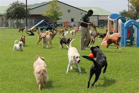 2,961 likes · 1 talking about this · 165 were here. Clarkstown Tightens Leash On Doggie Daycare Zoning ...