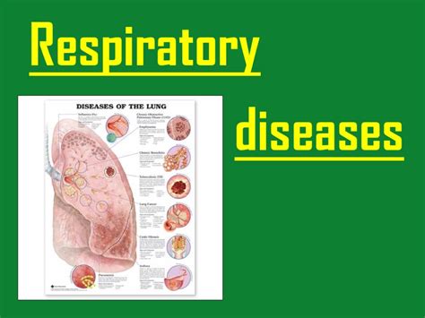 Diseases For Respiratory System