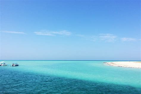 Beaches Of Djerba Island Tunisia Photos Rooms And Prices For