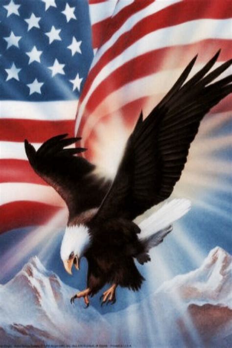 Bald Eagle American Flag Wallpaper Wallpapersafari