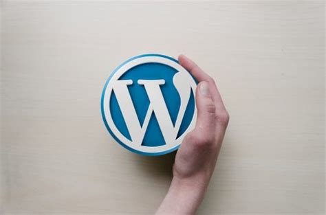 Should I Hire A Wordpress Web Designer Is Wordpress The Best Platform