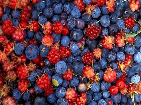 Sfondo Frutta E Verdura Frutti Di Bosco Frutta 🔥 Scarica Gratis
