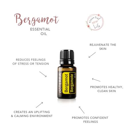 Bergamot Essential Oil Essential New Life