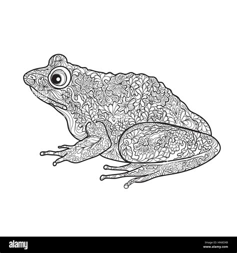 Frog Isolé Ornement Noir Et Blanc Illustration Grenouille Doodle Avec