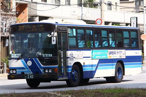 札幌 沖縄（那覇） 女満別 旭川 函館 青森 秋田 花巻 山形 三沢 仙台 新潟 長崎 鹿児島 種子島 屋久島 奄美大島. Images of 沖縄バス - JapaneseClass.jp