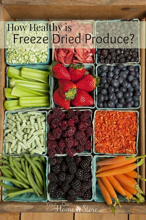 Luckily, there are now a lot of smaller brands which make vegan. How Healthy is Freeze Dried Produce? | Freeze drying food ...