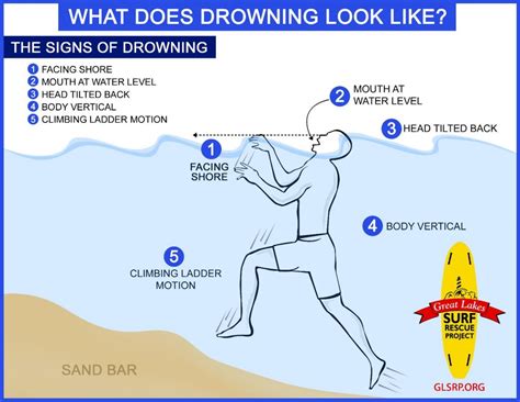 Activity What Does Drowning Look Like Teaching Great Lakes Science