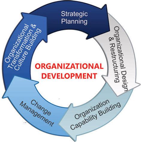 Organizational Development Service At Rs 20000unit Organizational