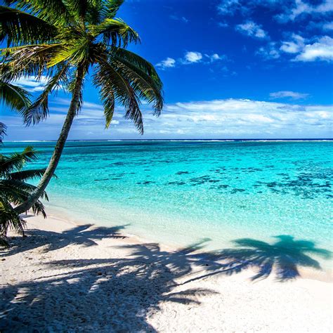 Explore the cook islands holidays and discover the best time and places to visit. Cook Islands Escapes