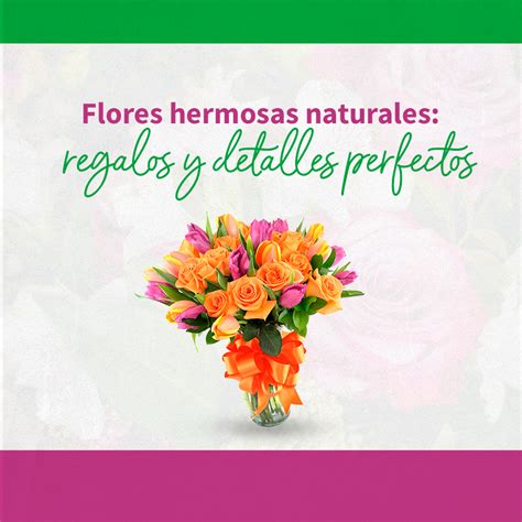 Detalle Imagen Imagenes De Flores Con Frases Hermosas