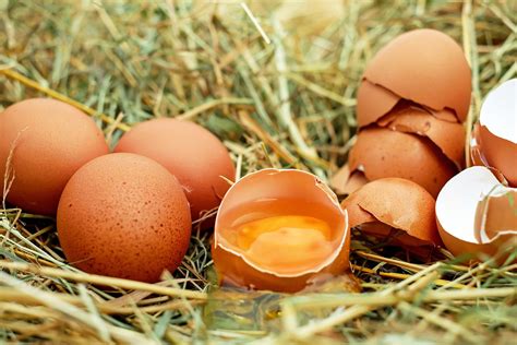 ᑕ ᑐ Wie lange sind gekochte Eier haltbar besten Tipps 2018