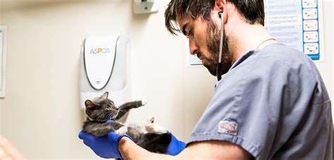 Across the u.s., 6.0 doses have been administered for every 100 people, and 50% of the shots delivered to states have been administered. Vaccinations for Your Pet | ASPCA