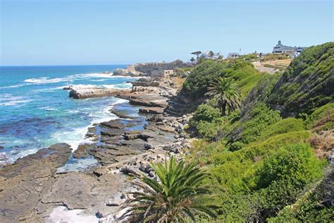 Incredible Things To Do In Hermanus South Africa Traffic Torch