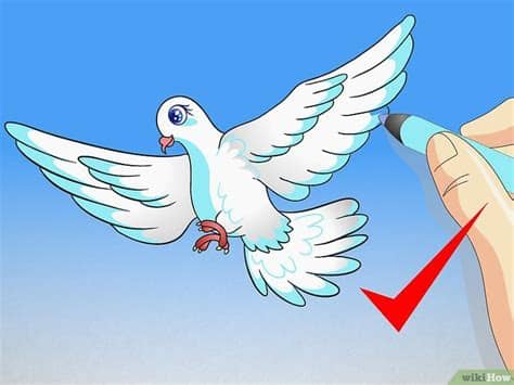 Cara Menggambar Burung Merpati - wikiHow