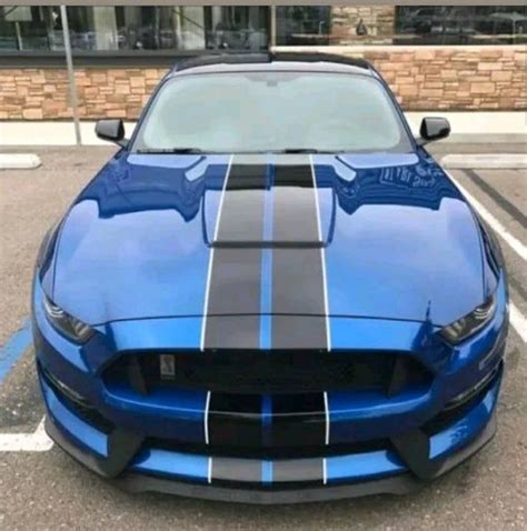 Rally Stripes If So Matte Or Gloss Black 2015 S550 Mustang Forum