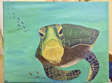 Turtle Love | Turtle love, Turtle, Sea turtle