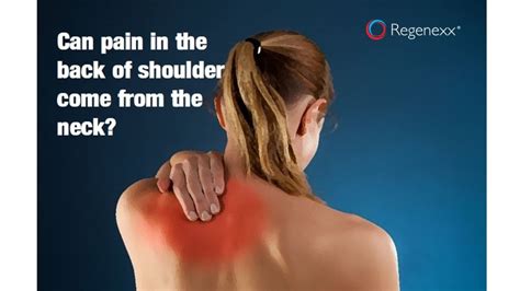 Upper Back And Lower Back Pain