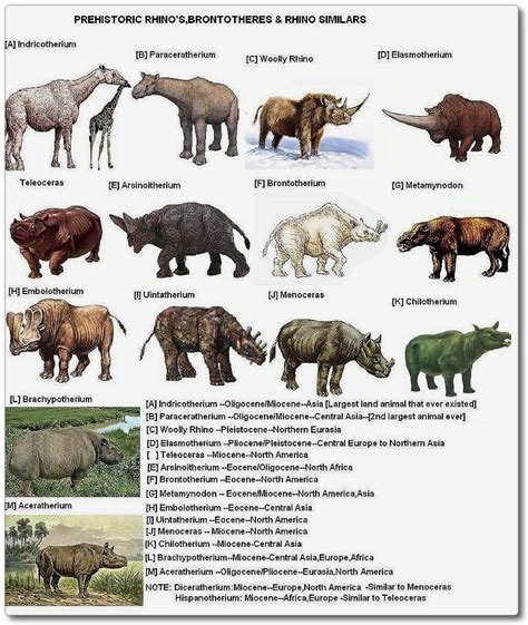 Species Evolution Chart Animaux éteints Animaux Préhistoriques