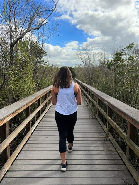 7 Tips For Exploring Shark Valley Everglades From Miami Day Trip The