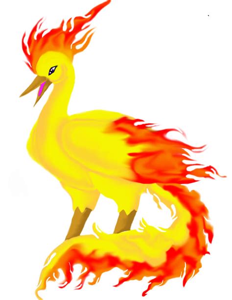 Moltres By Animal And Anime Lvr On Deviantart
