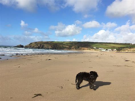 A Dog Friendly Cornwall Beach Break The I Escape Blog
