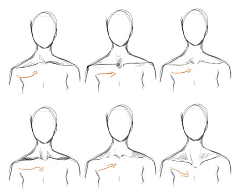 Arm bones are connected at the top to the collarbone and shoulder bone. How To Be Hunnigall: Quick Tip - Collar Bones