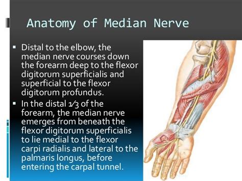 Median Nerve Injury