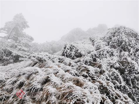 Jiaozi Snow Mountain In Kunming Welcomes First Snow Of 2021 News