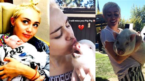 Miley Cyrus Beloved Pet Pig Dies Entertainment Tonight