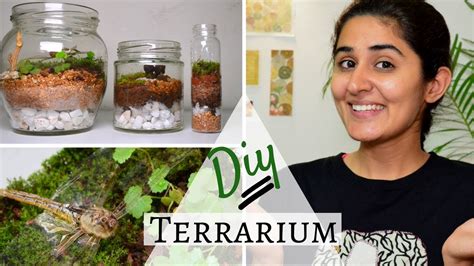 How To Make A Terrarium For Free 💚 Youtube