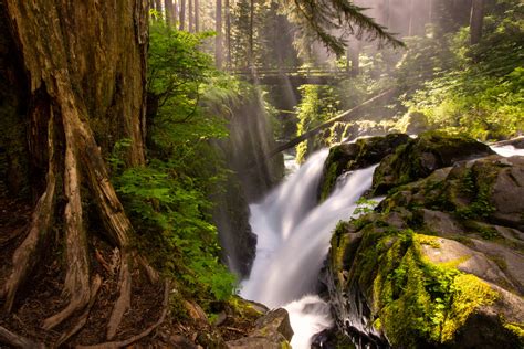 Sol Duc Falls Olympic National Park Hiking In Washington