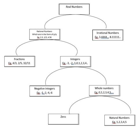 9. Represent the Number System with the help of a Flow Chart and write