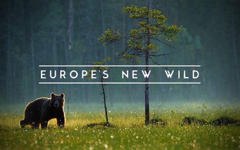 European Rewilding Hits Tv Screens In The Us Rewilding Europe