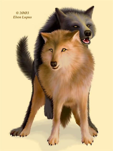 Rule 34 Canine Ebon Lupus Female Feral Male Mating Wolves Mounting