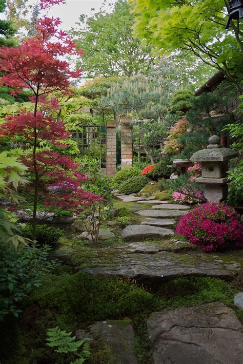 Niwaki - My favourite Japanese-syle garden in the UK
