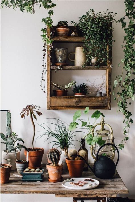 Pin By Barbarab On Jungalows Plant Decor House Plants Decor Room