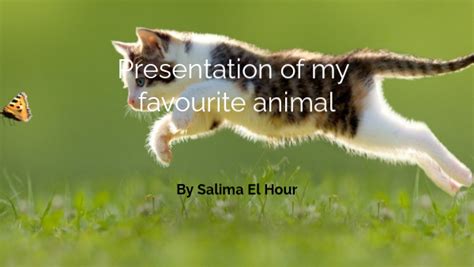 Presentation Of My Favourite Animal