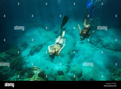 Women Swimming Underwater Hi Res Stock Photography And Images Alamy