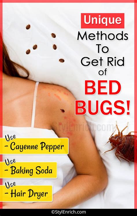 How To Get Rid Of Bed Bugs Rid Of Bed Bugs Bed Bug Spray Bed Bug