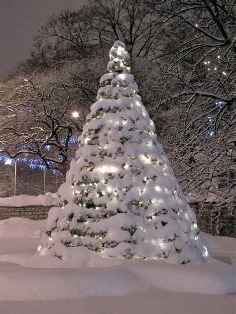 Stunning Views Snowy Christmas Tree